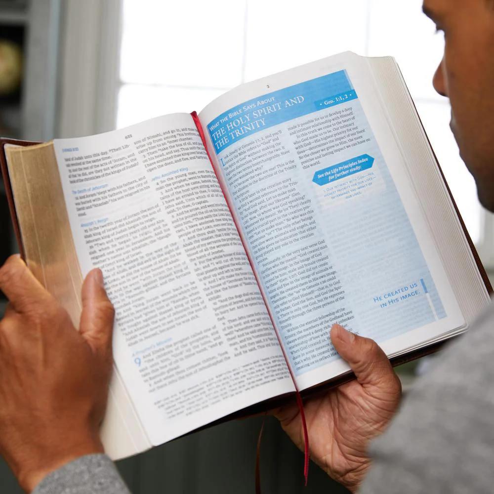 Thumbnail 21
