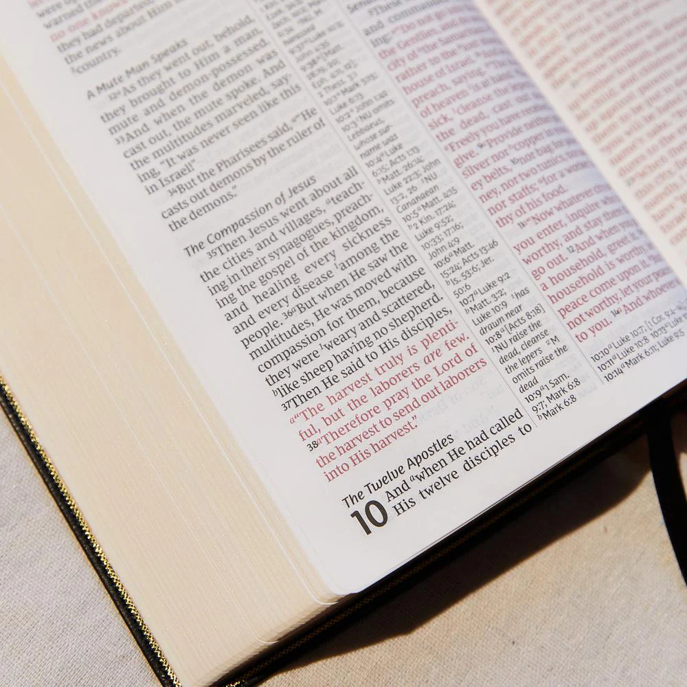 Thumbnail 43